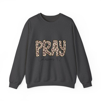 Prayer Sweatshirt - 'PRAY' Leopard Print Colossians 4:2 Christian Crewneck