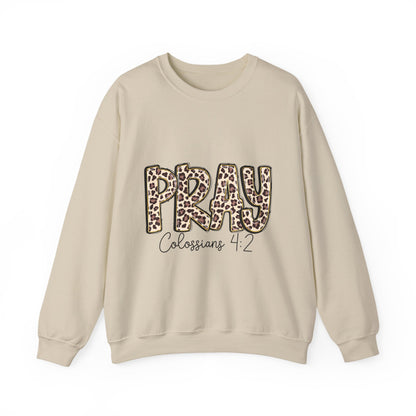 Prayer Sweatshirt - 'PRAY' Leopard Print Colossians 4:2 Christian Crewneck