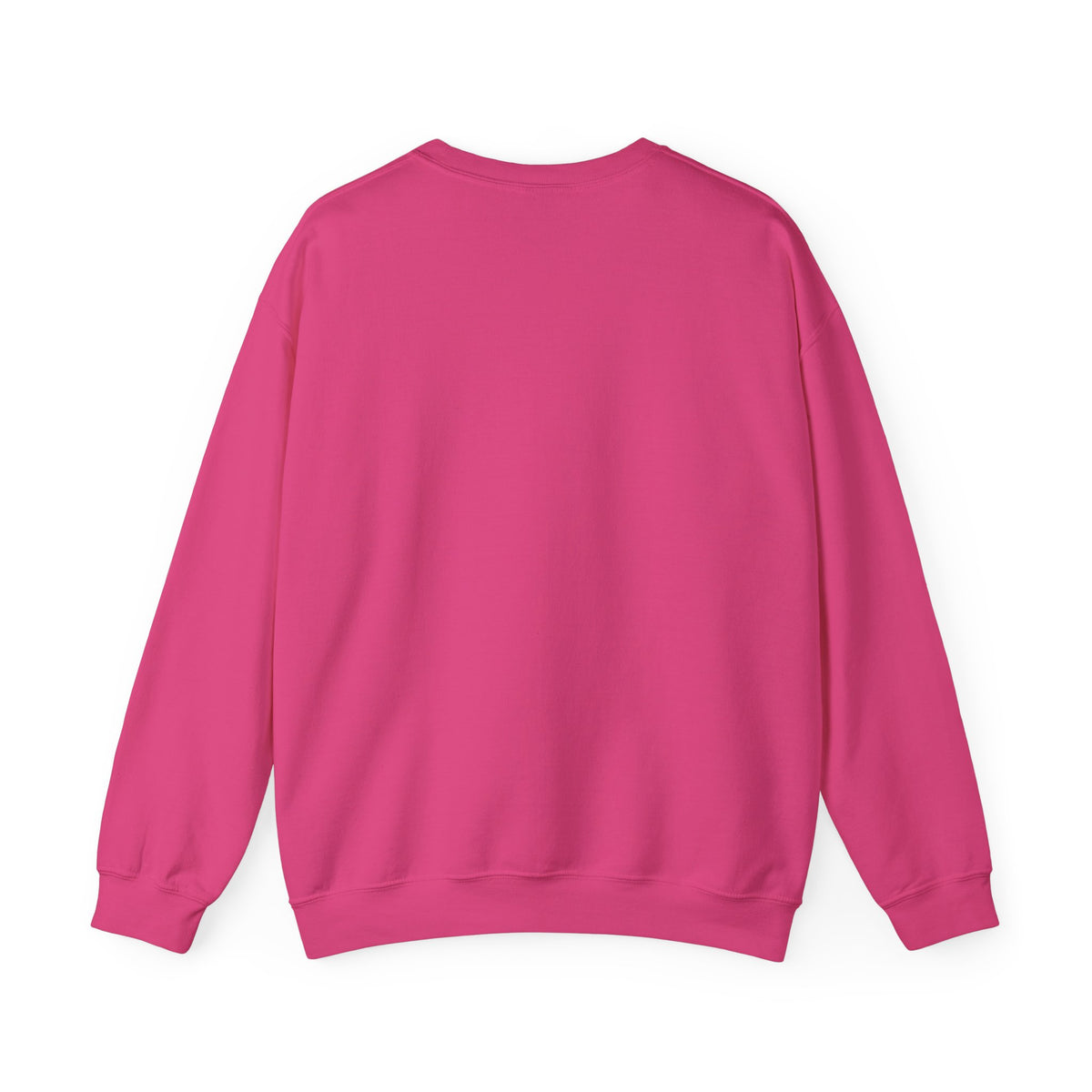 Prayer Sweatshirt - 'PRAY' Leopard Print Colossians 4:2 Christian Crewneck