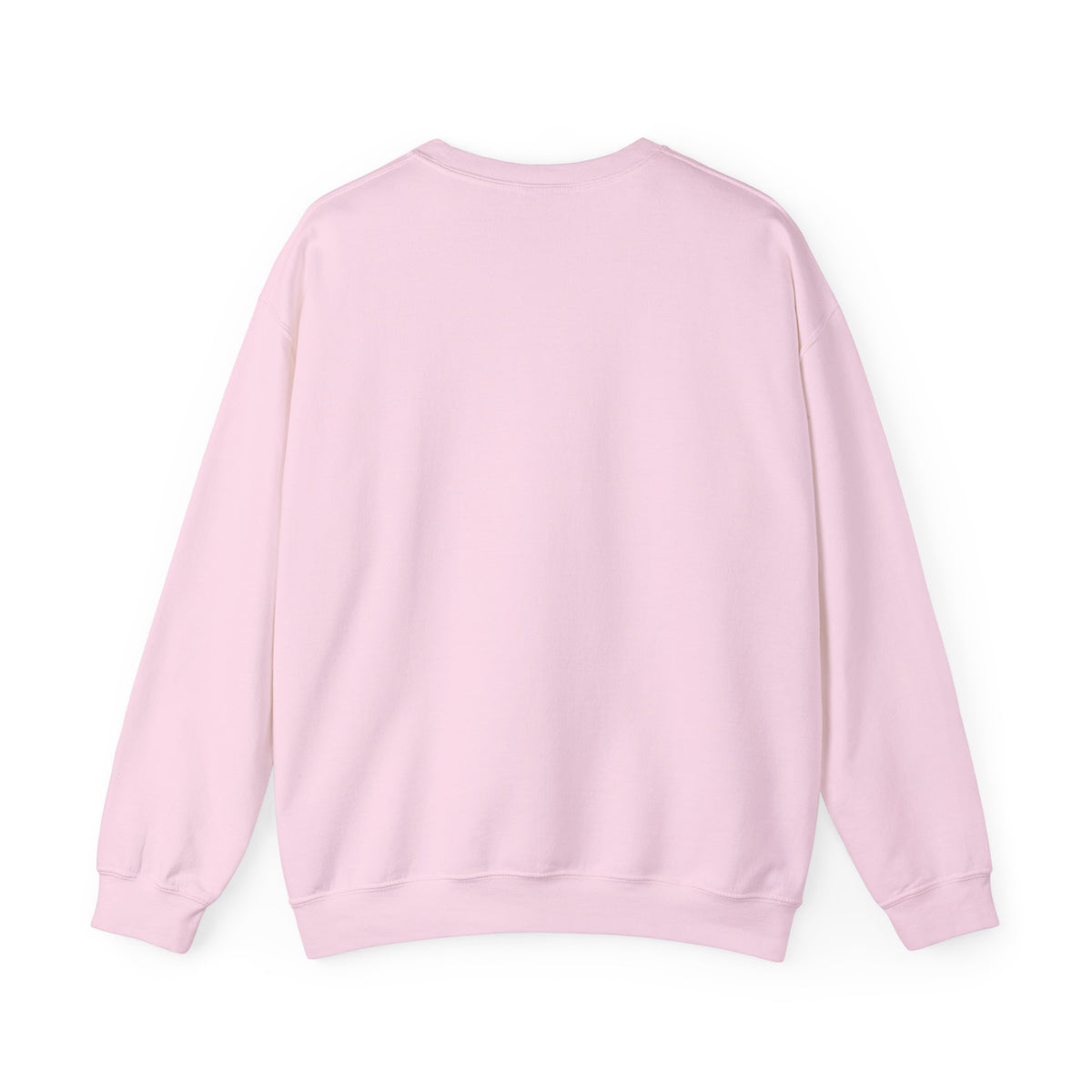 Prayer Sweatshirt - 'PRAY' Leopard Print Colossians 4:2 Christian Crewneck