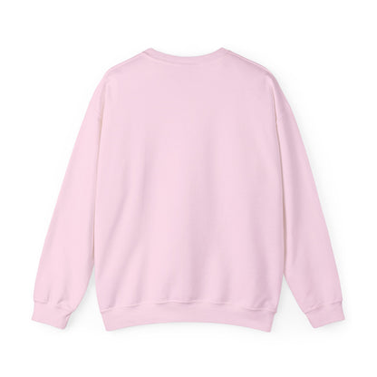 Prayer Sweatshirt - 'PRAY' Leopard Print Colossians 4:2 Christian Crewneck
