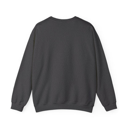Prayer Sweatshirt - 'PRAY' Leopard Print Colossians 4:2 Christian Crewneck