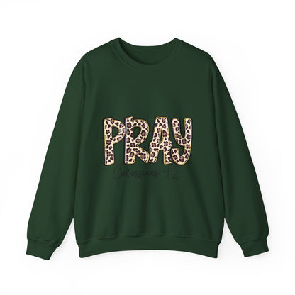 Prayer Sweatshirt - 'PRAY' Leopard Print Colossians 4:2 Christian Crewneck