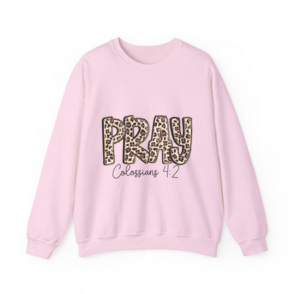 Prayer Sweatshirt - 'PRAY' Leopard Print Colossians 4:2 Christian Crewneck