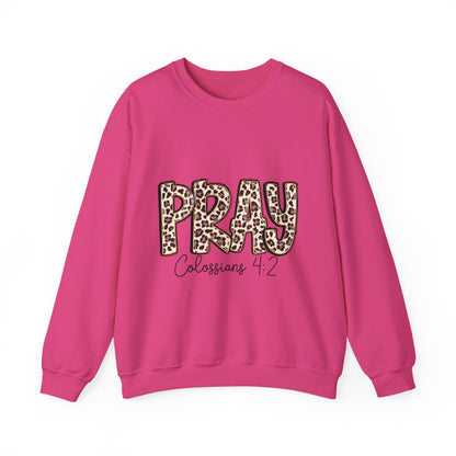 Prayer Sweatshirt - 'PRAY' Leopard Print Colossians 4:2 Christian Crewneck