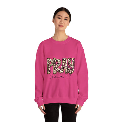 Prayer Sweatshirt - 'PRAY' Leopard Print Colossians 4:2 Christian Crewneck