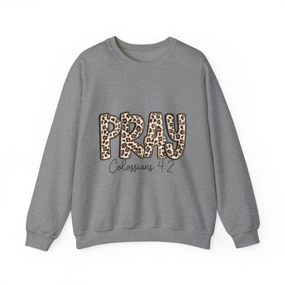 Prayer Sweatshirt - 'PRAY' Leopard Print Colossians 4:2 Christian Crewneck