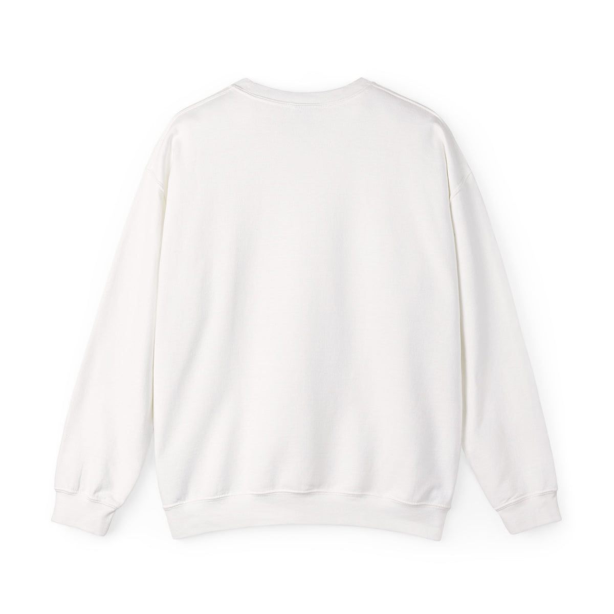 Prayer Sweatshirt - 'PRAY' Leopard Print Colossians 4:2 Christian Crewneck